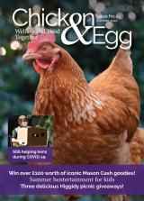 Magazine cover for Chicken & Egg Summer 2020