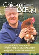 Magazine cover for Chicken & Egg Spring 2020