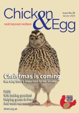 Magazine cover for Chicken & Egg Autumn 2025